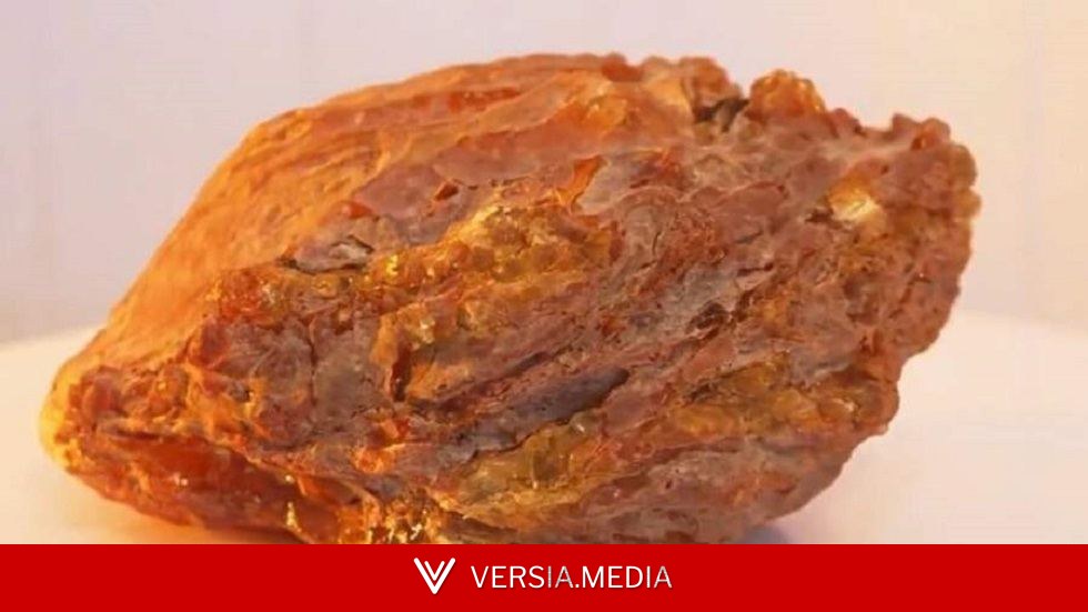 روسيا.. العثور على قطعة كهرمان وزنها 1.5 كيلوغرام