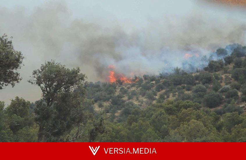 الجزائر.. الحماية المدنية تسجل 13 حريقا في عدة ولايات